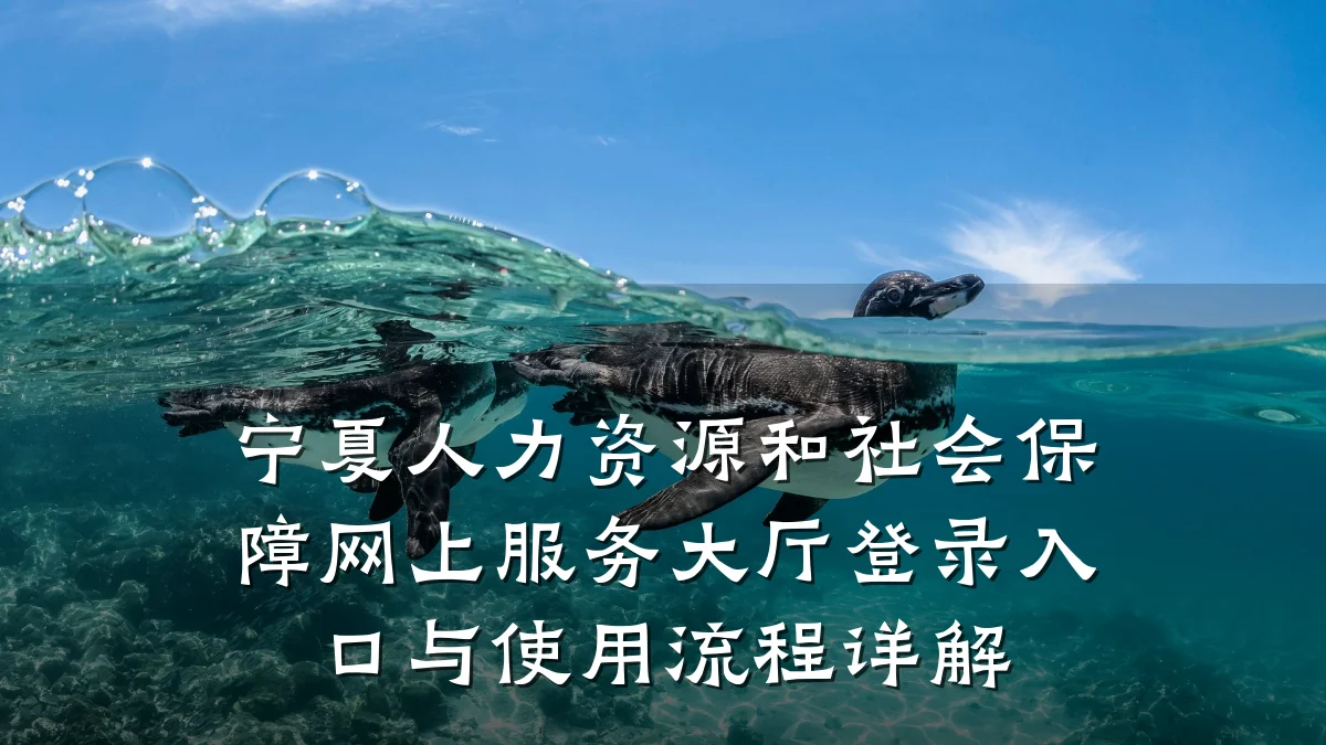 宁夏人力资源和社会保障网上服务大厅登录入口与使用流程详解