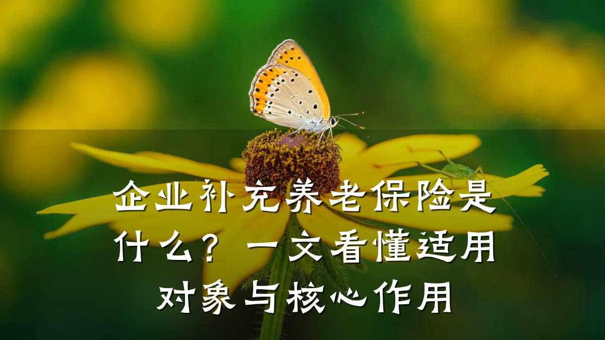 企业补充养老保险是什么?一文看懂适用对象与核心作用