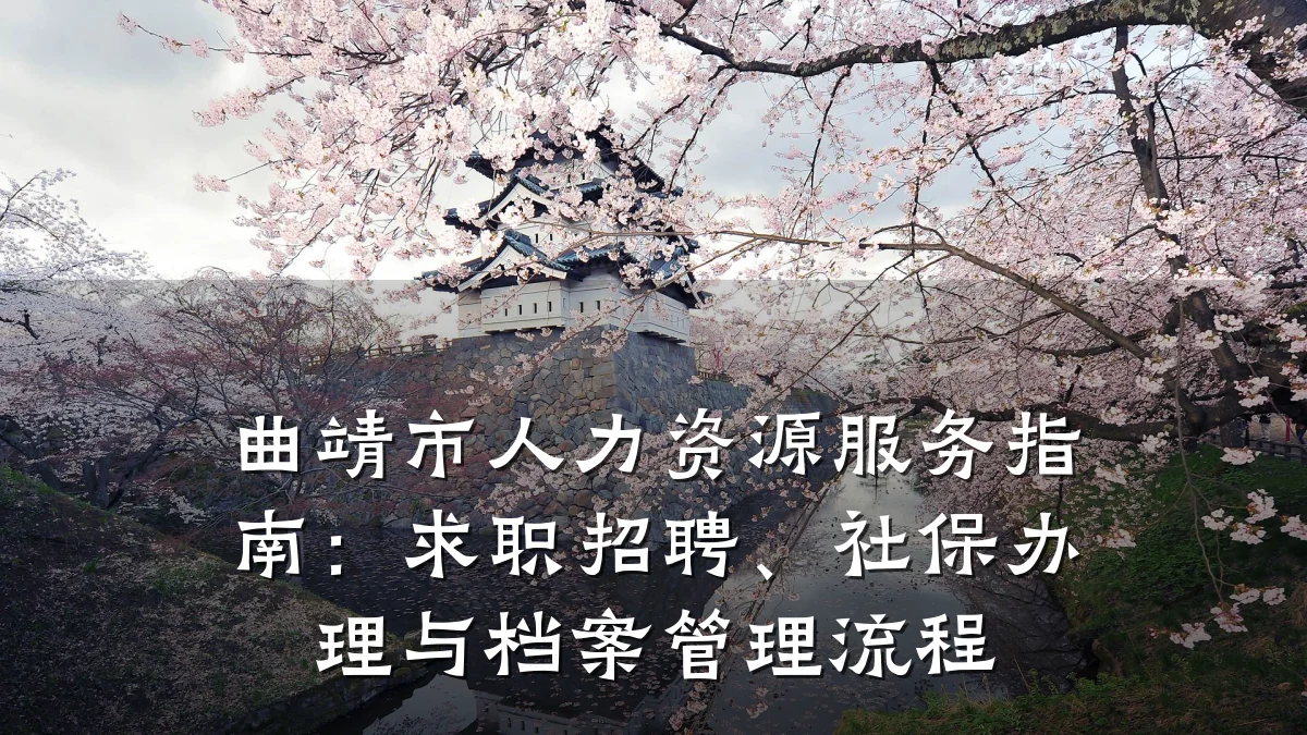 曲靖市人力资源服务指南:求职招聘、社保办理与档案管理流程