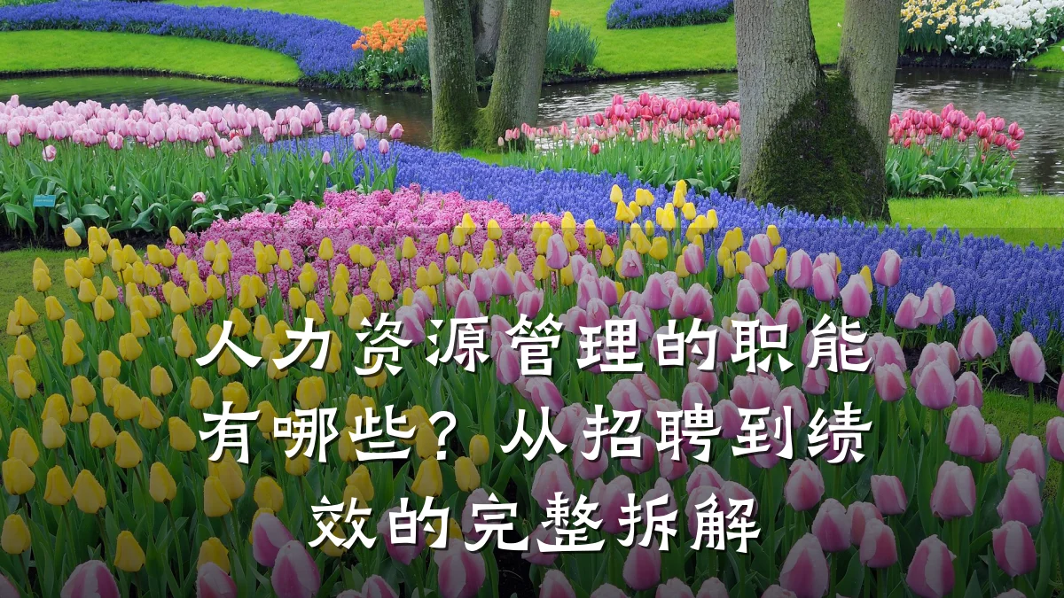 人力资源管理的职能有哪些?从招聘到绩效的完整拆解