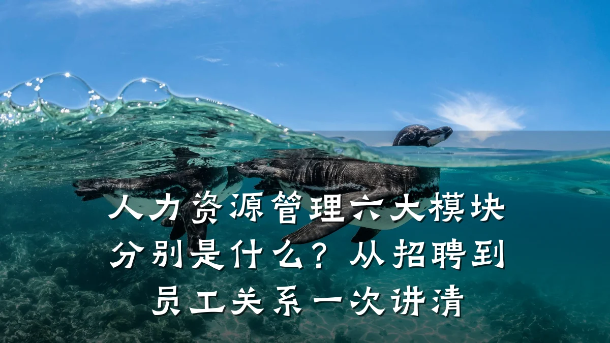 人力资源管理六大模块分别是什么?从招聘到员工关系一次讲清