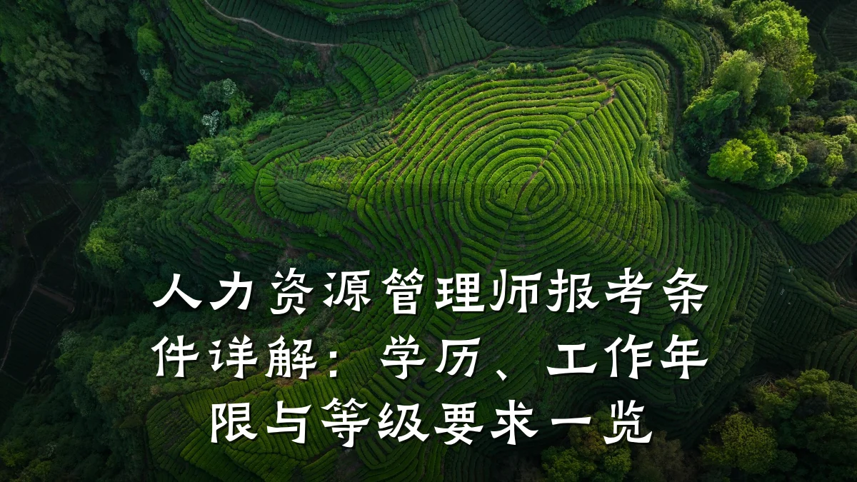 人力资源管理师报考条件详解:学历、工作年限与等级要求一览