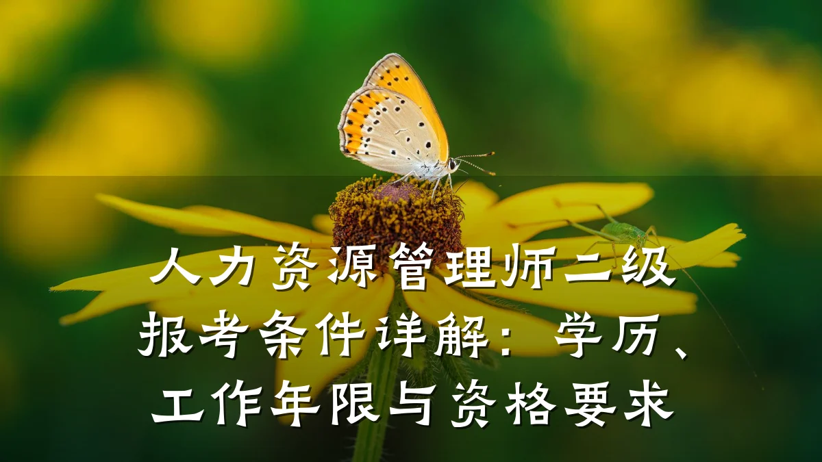 人力资源管理师二级报考条件详解:学历、工作年限与资格要求