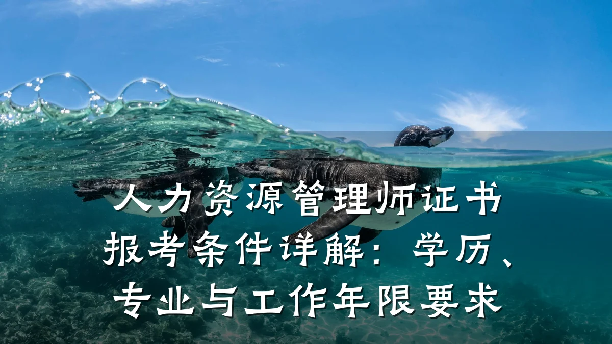 人力资源管理师证书报考条件详解:学历、专业与工作年限要求