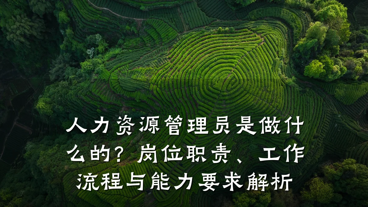 人力资源管理员是做什么的?岗位职责、工作流程与能力要求解析