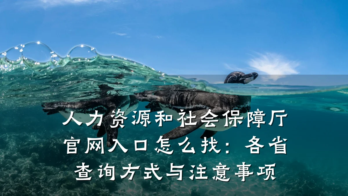 人力资源和社会保障厅官网入口怎么找:各省查询方式与注意事项
