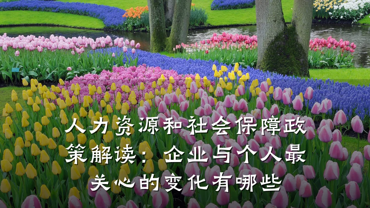 人力资源和社会保障政策解读:企业与个人最关心的变化有哪些