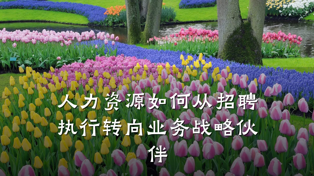 人力资源如何从招聘执行转向业务战略伙伴