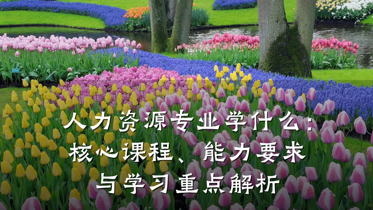 人力资源专业学什么:核心课程、能力要求与学习重点解析