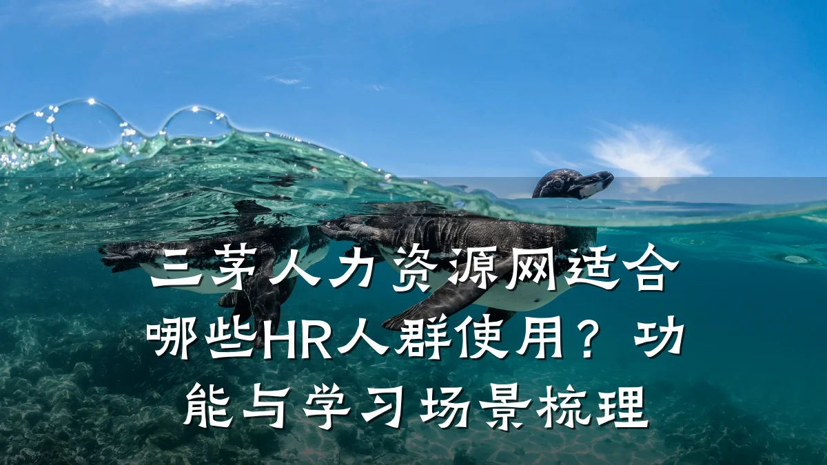 三茅人力资源网适合哪些HR人群使用?功能与学习场景梳理
