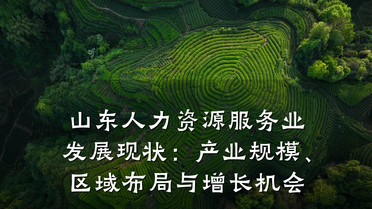 山东人力资源服务业发展现状:产业规模、区域布局与增长机会