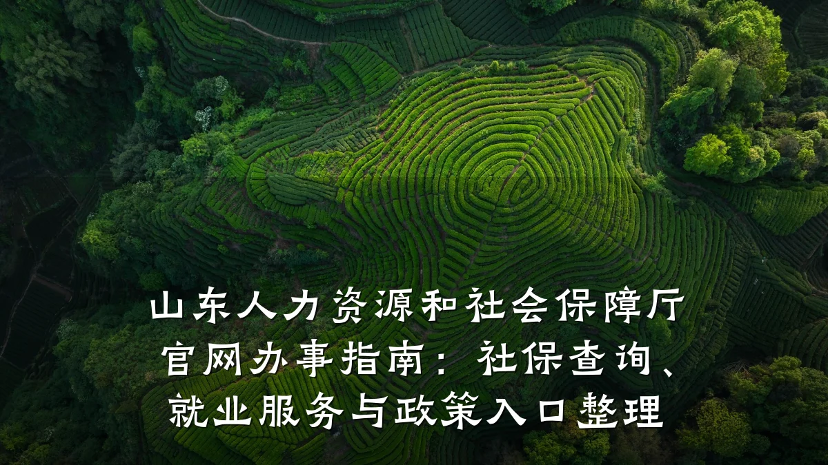 山东人力资源和社会保障厅官网办事指南:社保查询、就业服务与政策入口整理