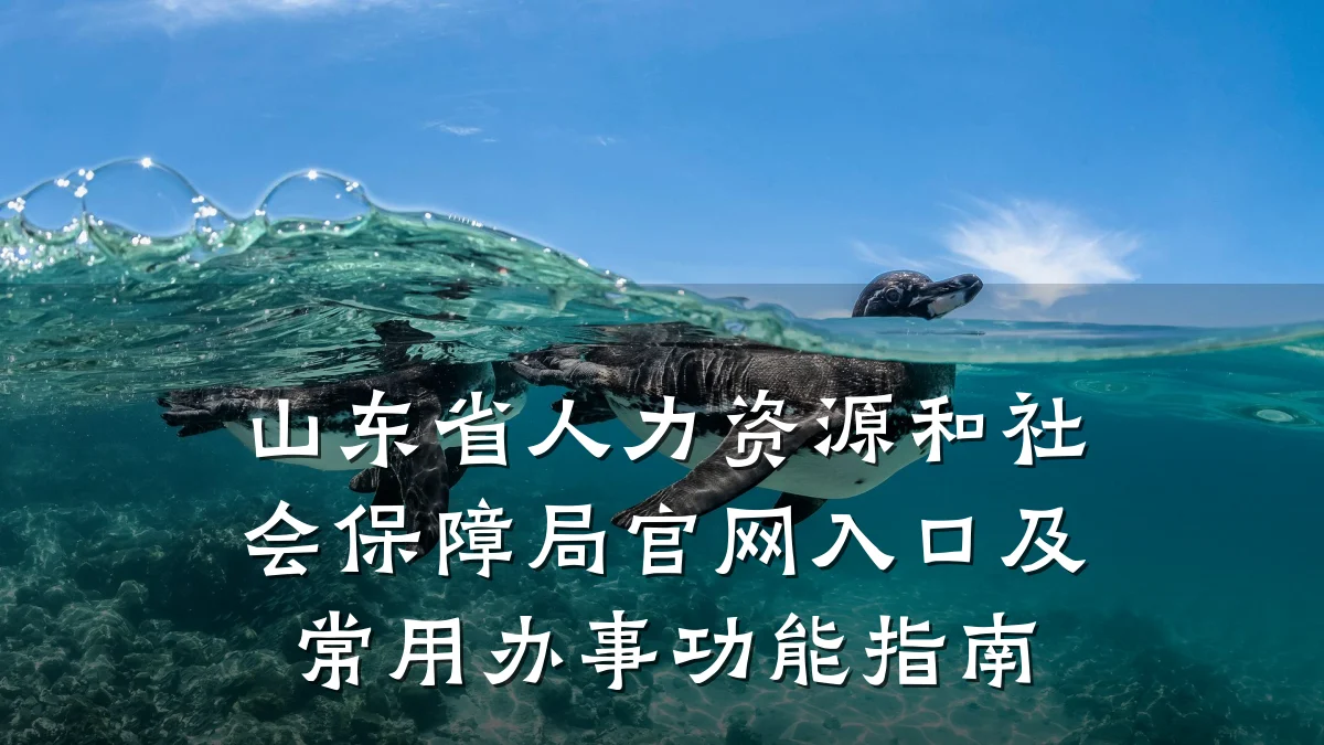山东省人力资源和社会保障局官网入口及常用办事功能指南