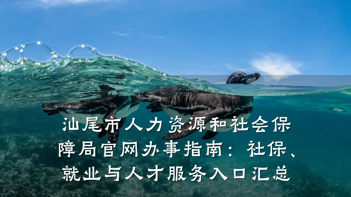 汕尾市人力资源和社会保障局官网办事指南:社保、就业与人才服务入口汇总