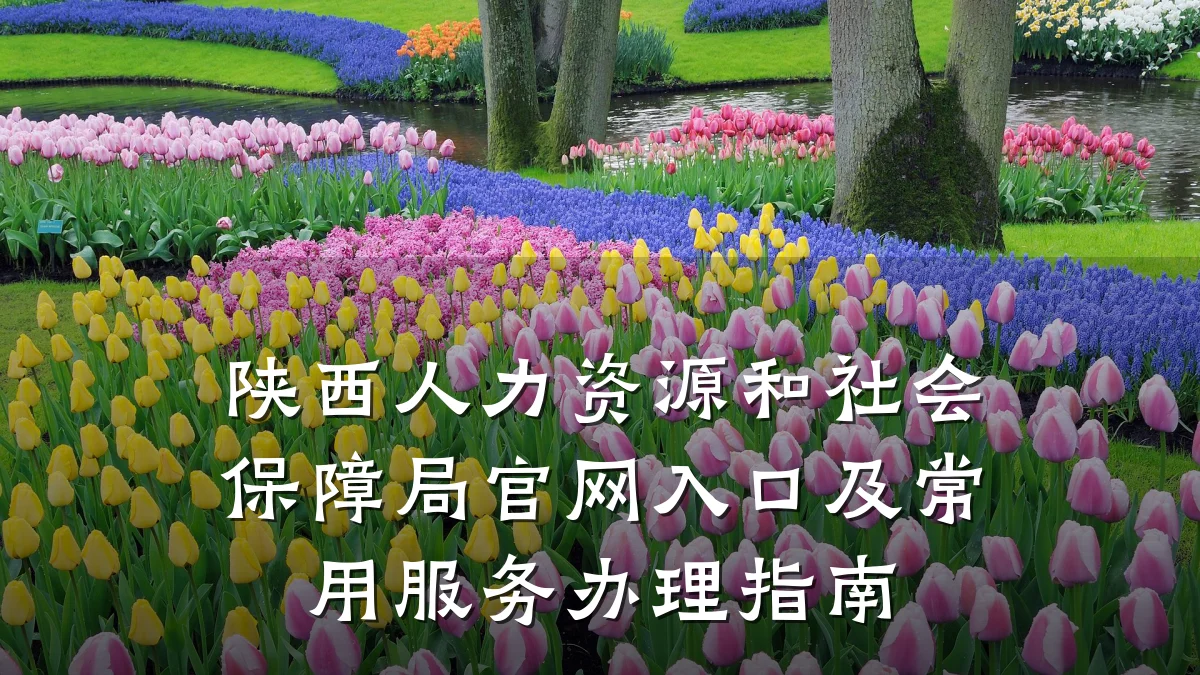 陕西人力资源和社会保障局官网入口及常用服务办理指南