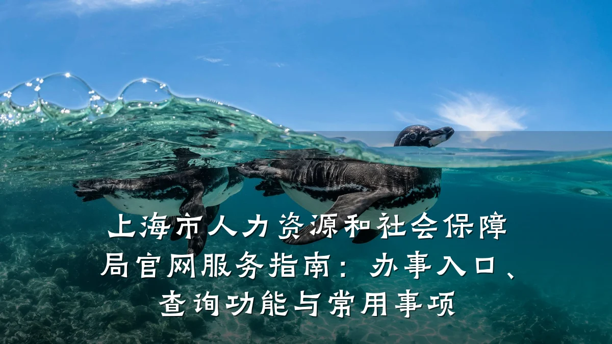 上海市人力资源和社会保障局官网服务指南:办事入口、查询功能与常用事项