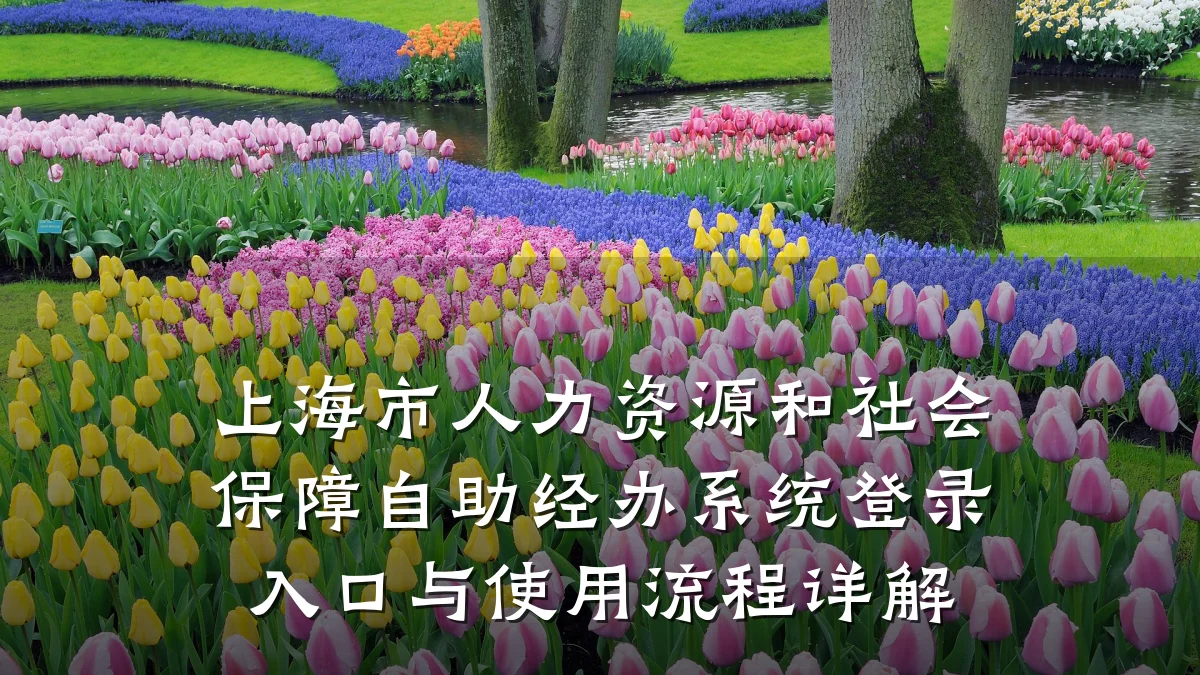 上海市人力资源和社会保障自助经办系统登录入口与使用流程详解