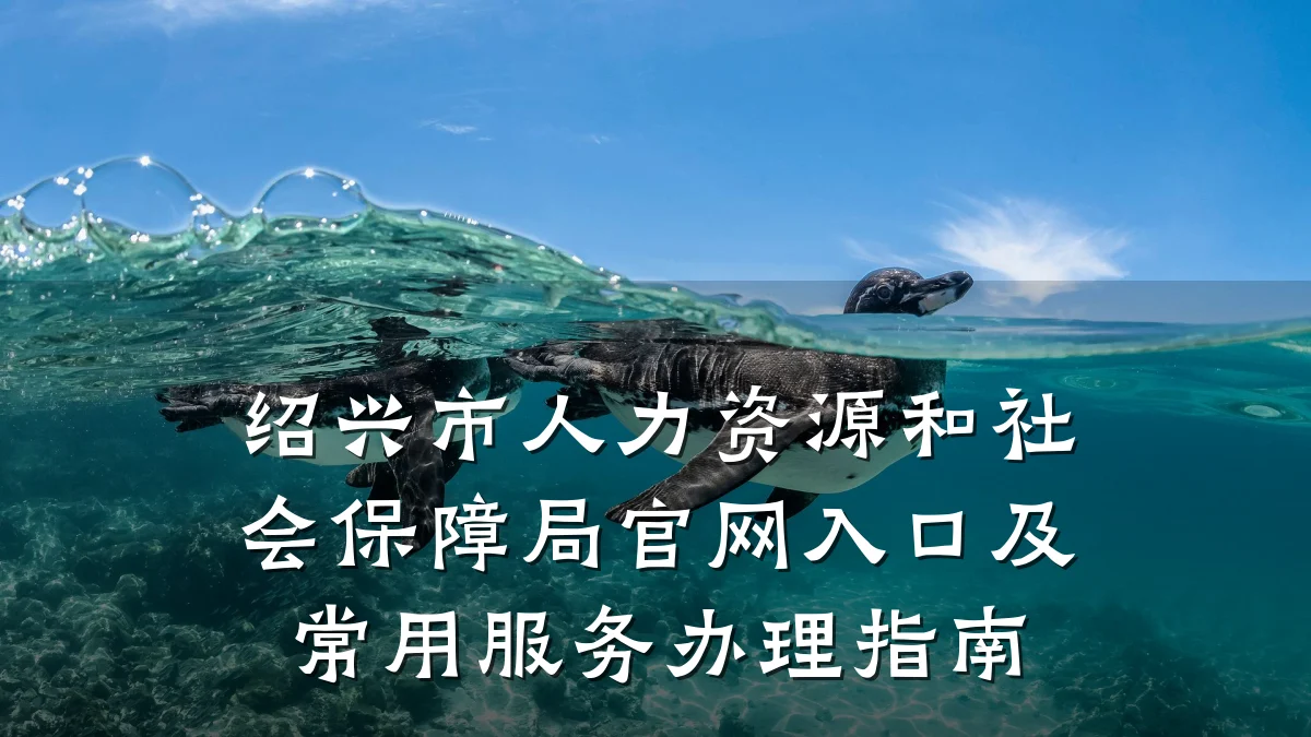 绍兴市人力资源和社会保障局官网入口及常用服务办理指南
