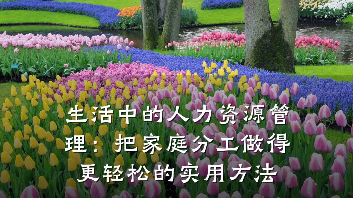 生活中的人力资源管理:把家庭分工做得更轻松的实用方法