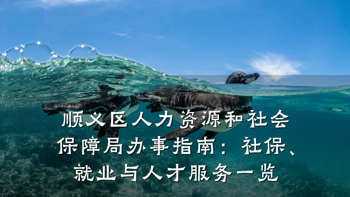顺义区人力资源和社会保障局办事指南:社保、就业与人才服务一览
