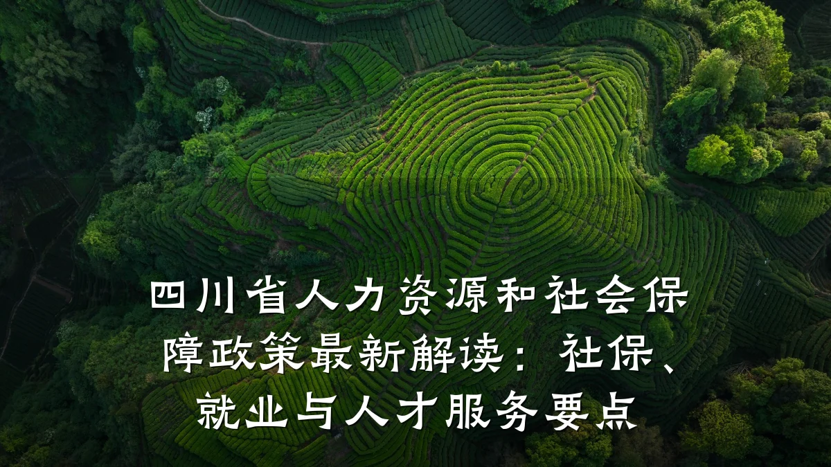 四川省人力资源和社会保障政策最新解读:社保、就业与人才服务要点