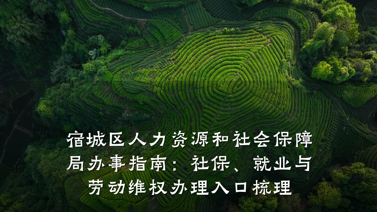 宿城区人力资源和社会保障局办事指南:社保、就业与劳动维权办理入口梳理