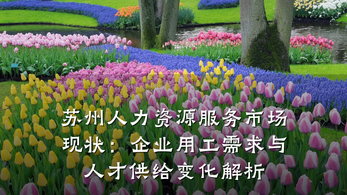 苏州人力资源服务市场现状:企业用工需求与人才供给变化解析