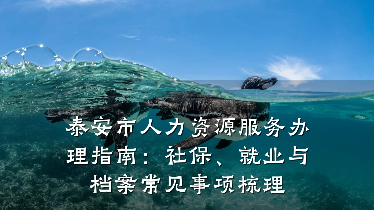 泰安市人力资源服务办理指南:社保、就业与档案常见事项梳理