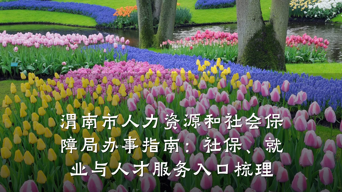 渭南市人力资源和社会保障局办事指南:社保、就业与人才服务入口梳理