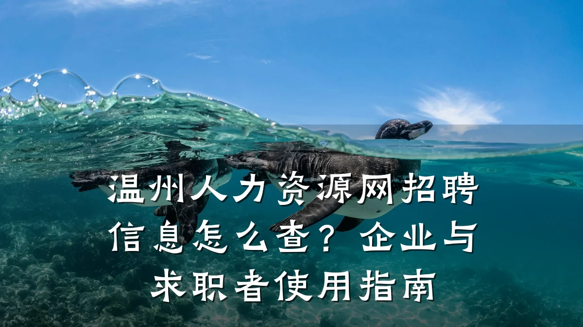 温州人力资源网招聘信息怎么查?企业与求职者使用指南