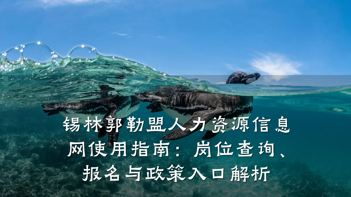锡林郭勒盟人力资源信息网使用指南:岗位查询、报名与政策入口解析