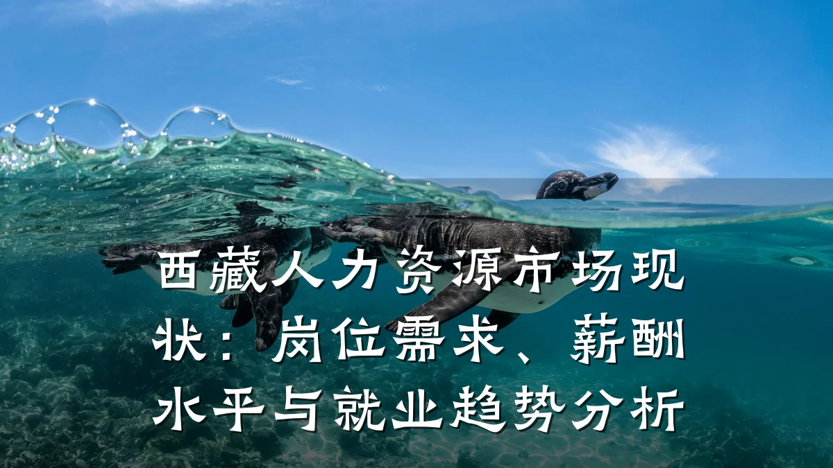 西藏人力资源市场现状:岗位需求、薪酬水平与就业趋势分析