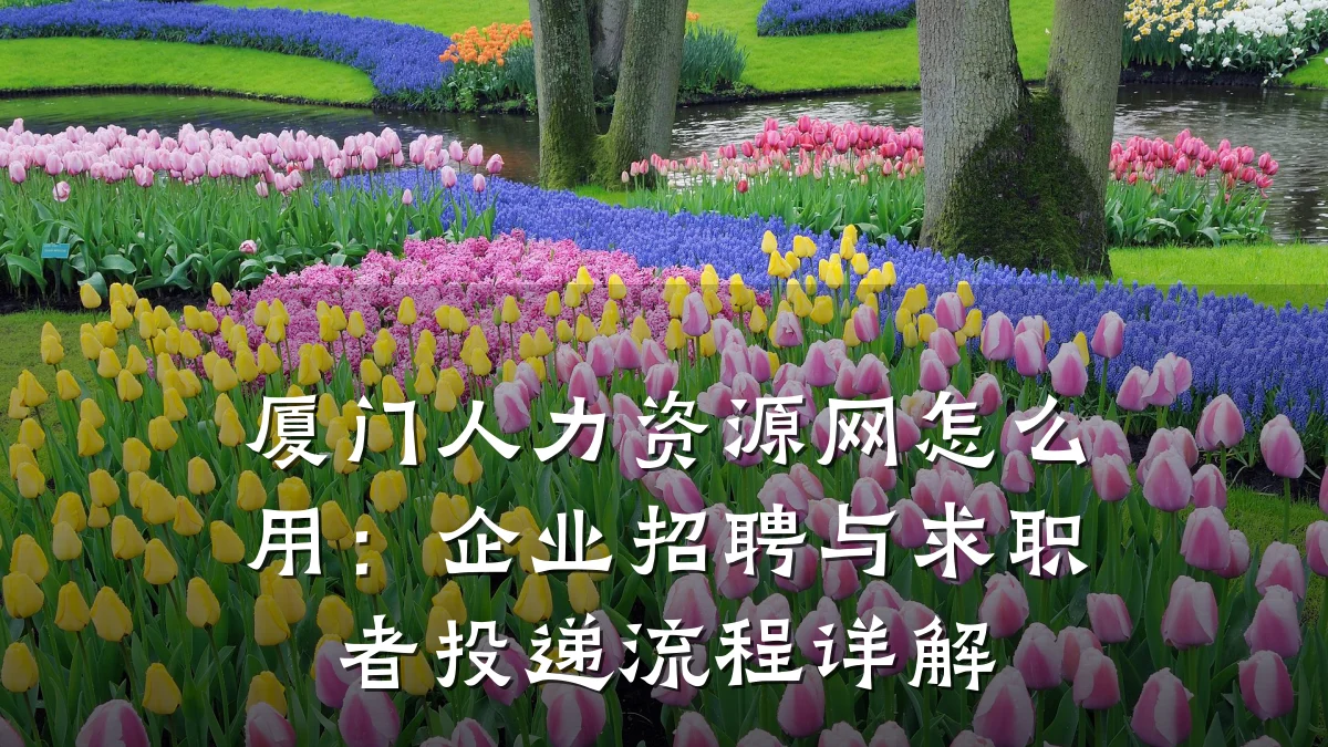厦门人力资源网怎么用:企业招聘与求职者投递流程详解