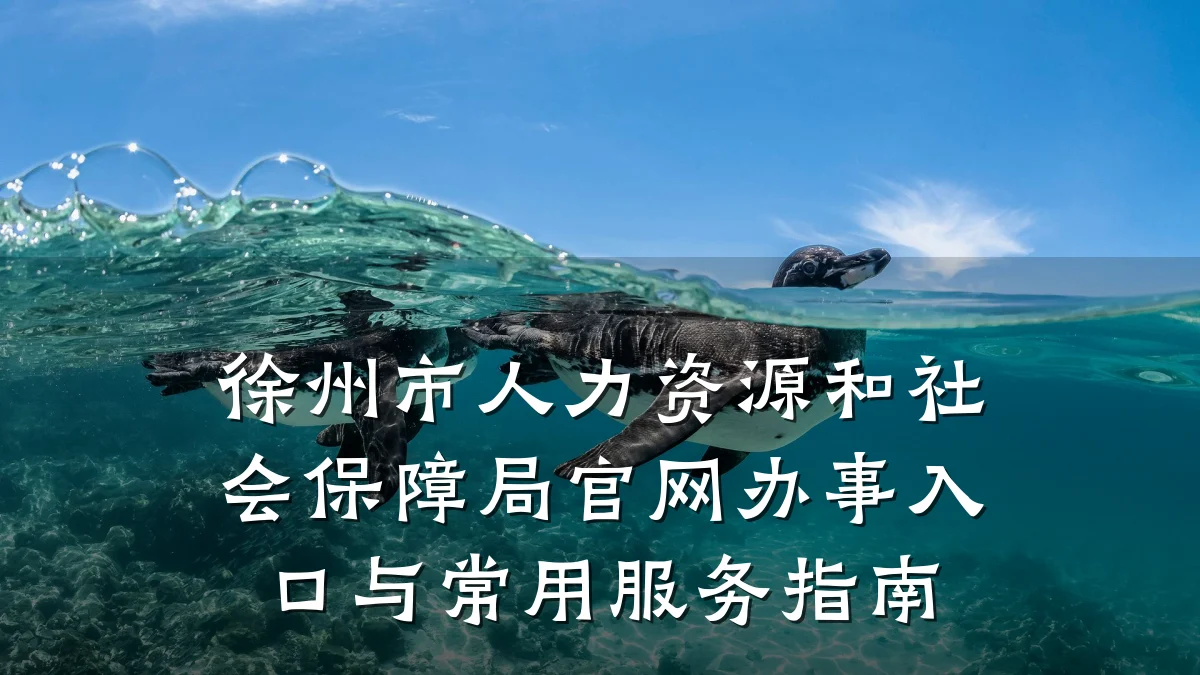 徐州市人力资源和社会保障局官网办事入口与常用服务指南