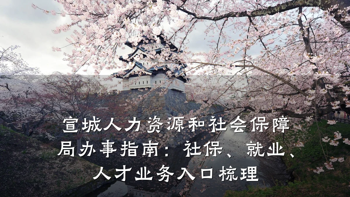 宣城人力资源和社会保障局办事指南:社保、就业、人才业务入口梳理