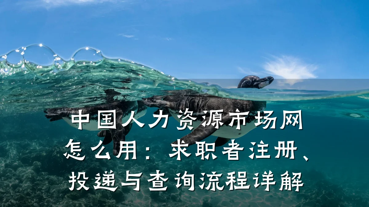 中国人力资源市场网怎么用:求职者注册、投递与查询流程详解