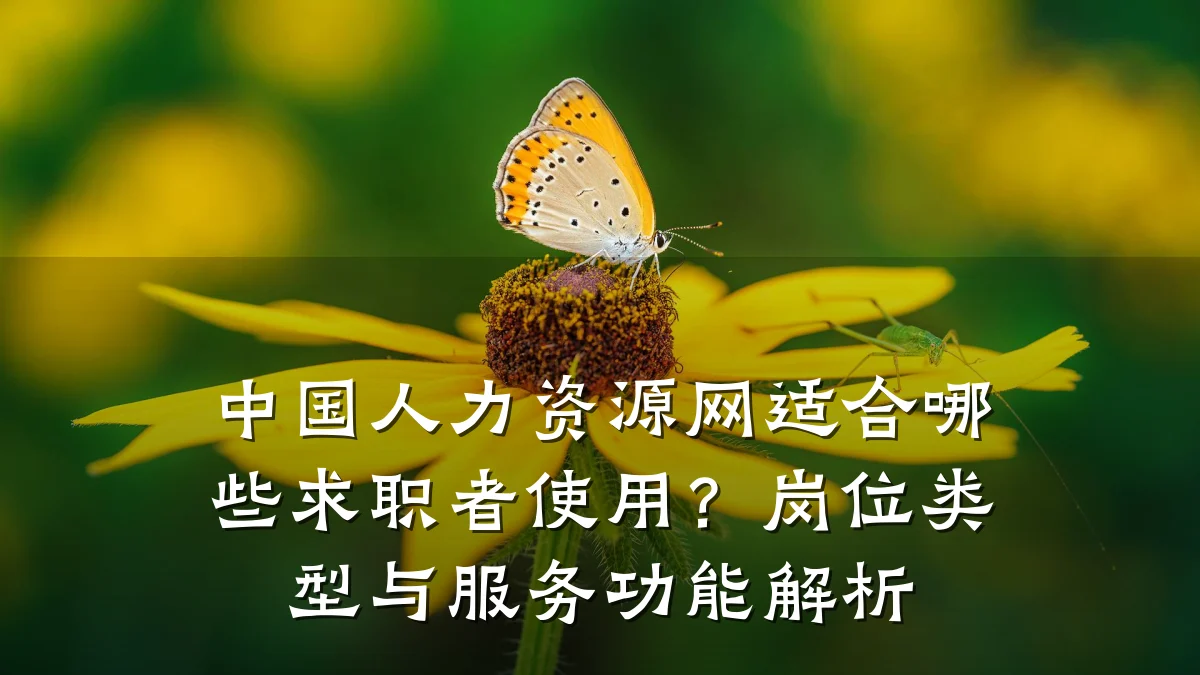 中国人力资源网适合哪些求职者使用?岗位类型与服务功能解析