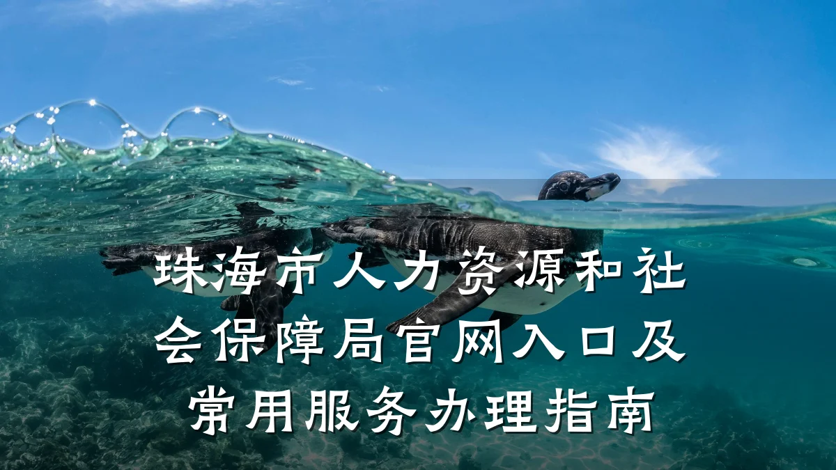珠海市人力资源和社会保障局官网入口及常用服务办理指南