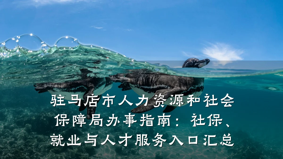 驻马店市人力资源和社会保障局办事指南:社保、就业与人才服务入口汇总