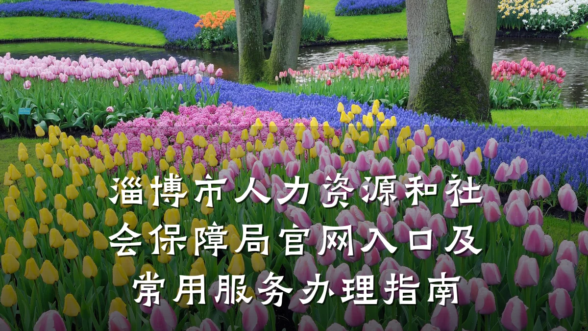 淄博市人力资源和社会保障局官网入口及常用服务办理指南