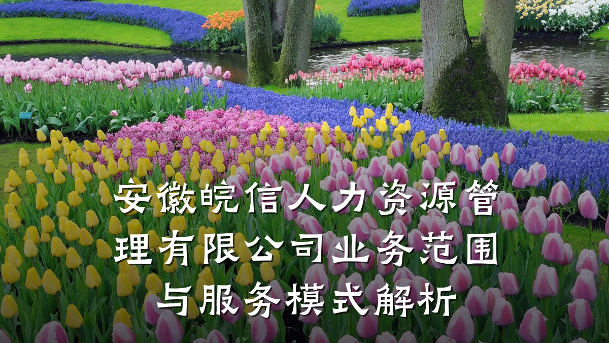 安徽皖信人力资源管理有限公司业务范围与服务模式解析