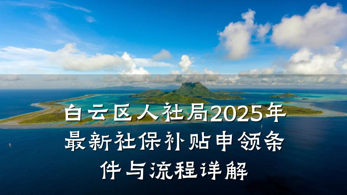 白云区人社局2025年最新社保补贴申领条件与流程详解