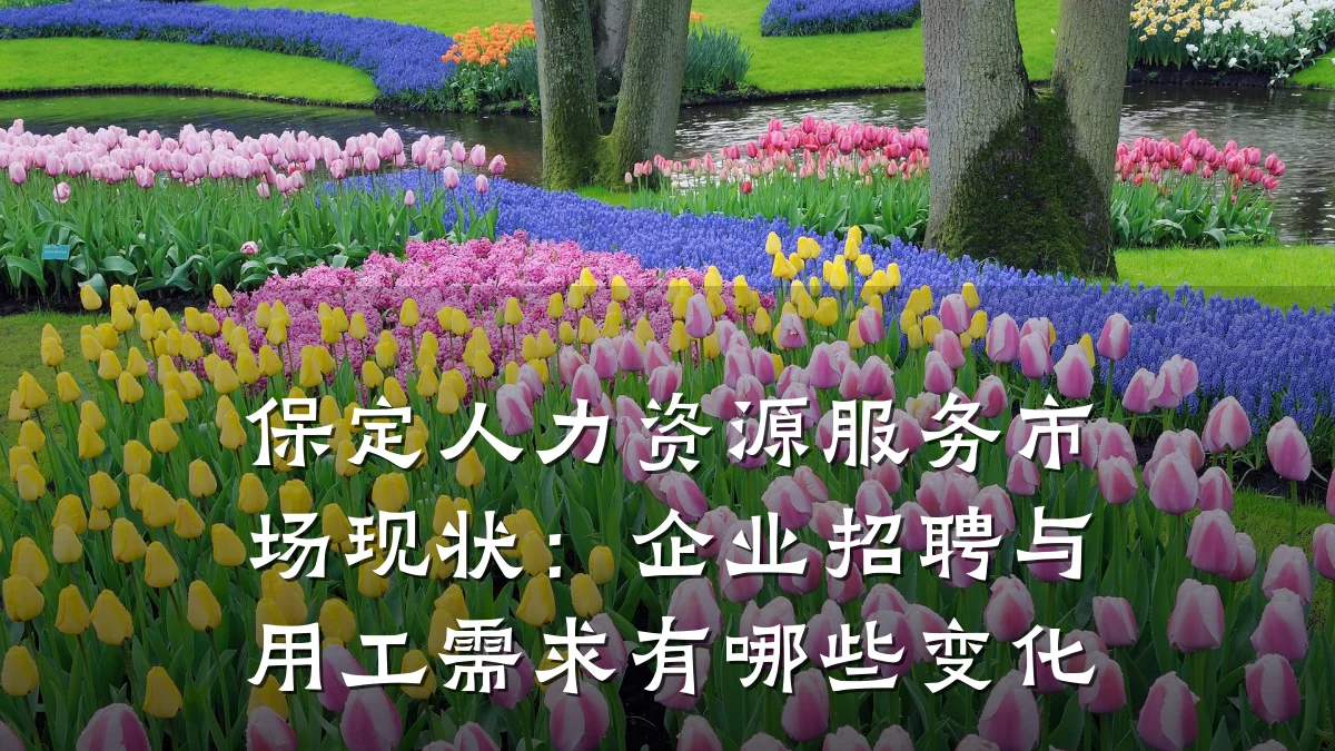 保定人力资源服务市场现状:企业招聘与用工需求有哪些变化