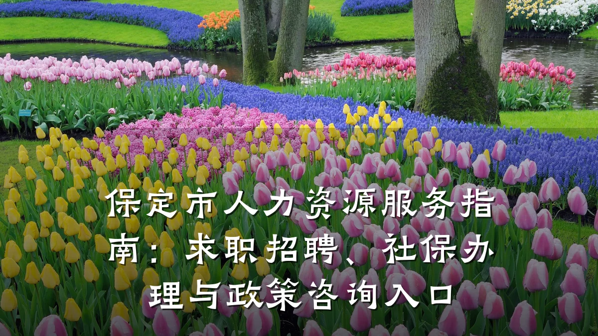 保定市人力资源服务指南:求职招聘、社保办理与政策咨询入口