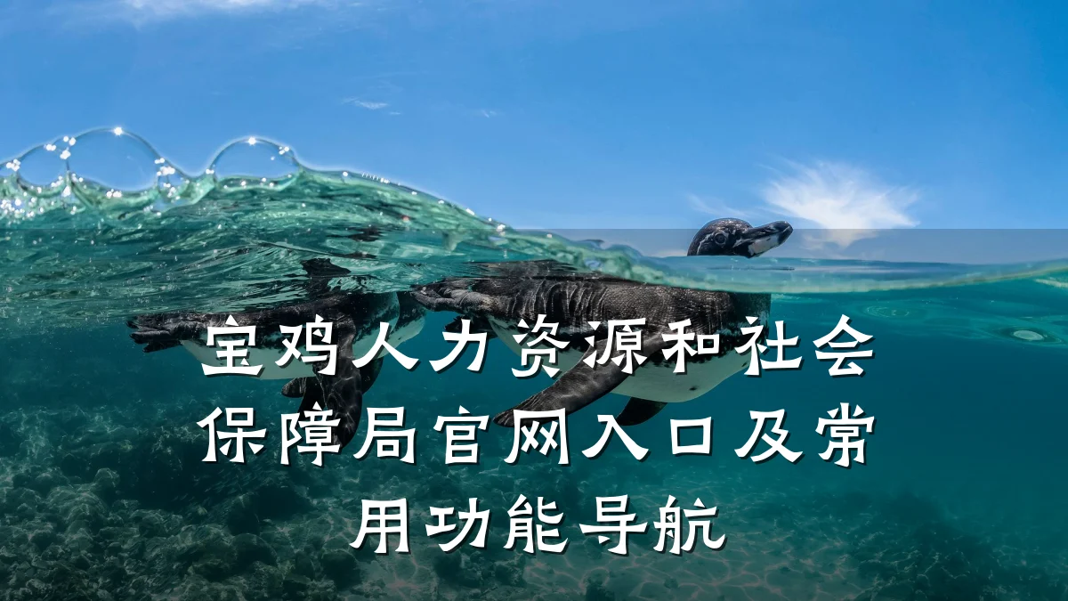 宝鸡人力资源和社会保障局官网入口及常用功能导航