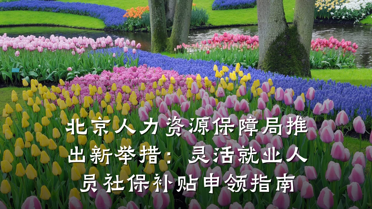 北京人力资源保障局推出新举措：灵活就业人员社保补贴申领指南