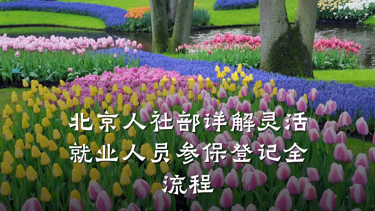 北京人社部详解灵活就业人员参保登记全流程