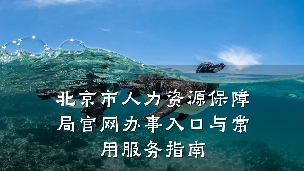 北京市人力资源保障局官网办事入口与常用服务指南