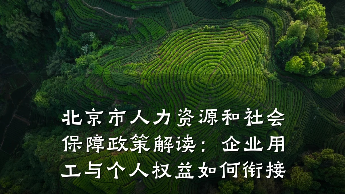 北京市人力资源和社会保障政策解读：企业用工与个人权益如何衔接