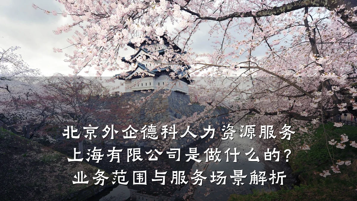 北京外企德科人力资源服务上海有限公司是做什么的?业务范围与服务场景解析